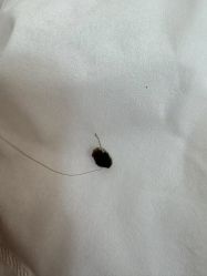 -北京美痣堂古方祛痣斑疣瘊
