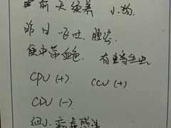 -爱派特动物医院·全科诊疗中心