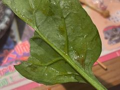 -哥老官重庆美蛙鱼头(宝山龙湖店)