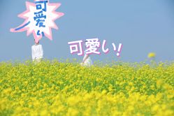 -金夫人婚纱摄影(华南店)