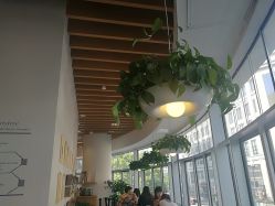 -悦诗风吟innisfree