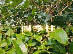 -颐和园