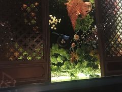 -老牌坊云南鱼豆花火锅(哈西万达店)