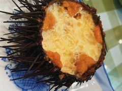 海胆蒸蛋-华圆美食-老蓬莱菜(蓬港路店)