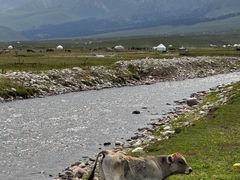 -新疆那拉提国家旅游度假区