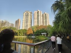 -四海公园(南山区)
