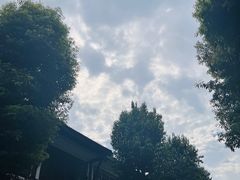 -安仁古镇