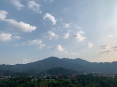 -卿园芳远·正宗石鼓白鸭汤