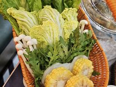-濠七糟粕醋·椰子鸡火锅(上海首店)