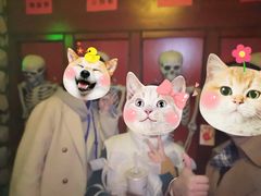 -MJ魔爵全机关真人密室逃脱(青浦万达茂店)