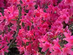 -北京雁栖湖国际会展中心