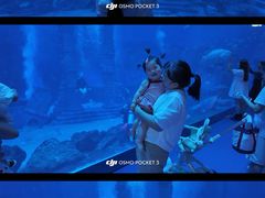 -南昌融创海世界