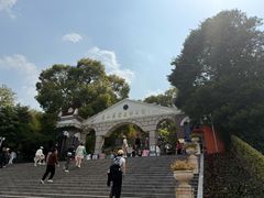 -上海佘山国家森林公园西佘山园