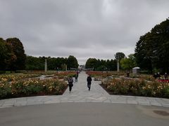 -维格兰雕塑公园