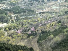 -佛慧山