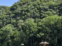 -高荡千年布依古寨旅游景区