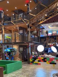 -卡通尼·Safari非洲探索乐园·生日会(金桥国际商业广场店)