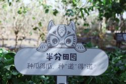 -太湖雪蚕桑文化园
