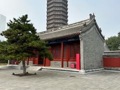 -西海子公园