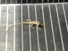 -锦江之星(广州海珠江泰路地铁站店)