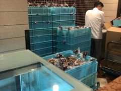 水产区-国际饭店·帆声西饼屋(黄河路店)