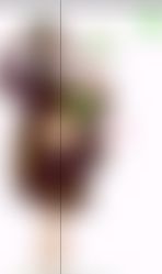 -专注孕妇照亲子照·纪田摄影