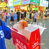 🔥爆建政路芝麻鸡开来农院路了！第二份半💰！