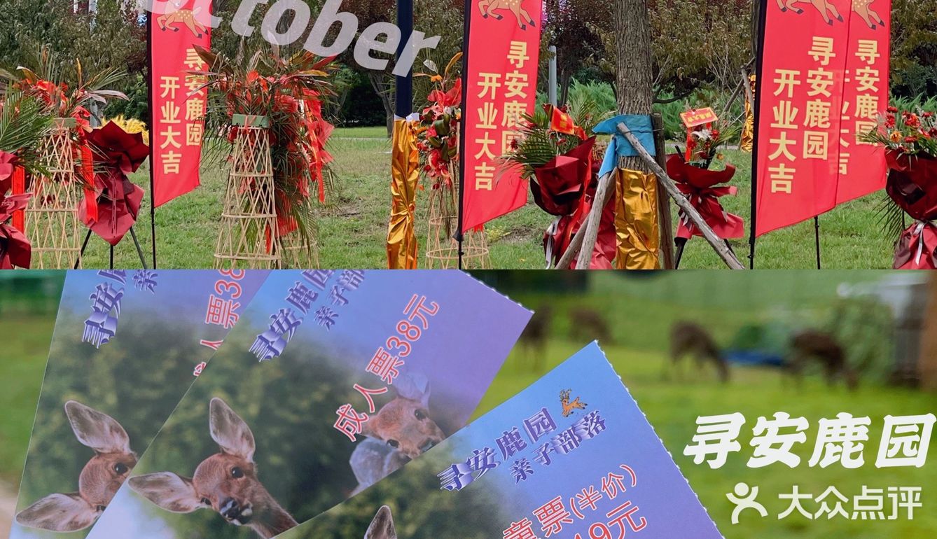 🍞十一假期🥱｜分享新的游玩好地｜散养的小鹿🍑｜🍴小鹿乱撞🥢
