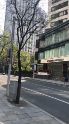 -上海玫瑰医疗美容医院