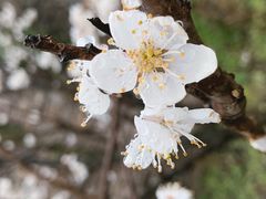 -驿舍·民國老营房院子私房菜(科学会堂店)