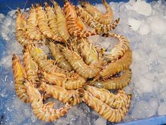 -琼菜王(南海店)