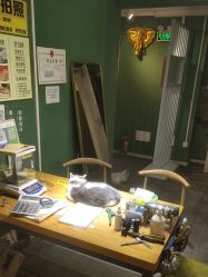 -邵老师打金·黄金加工(大望路总店)
