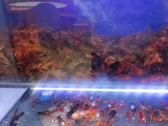 -虾铺子龙虾·私房菜(金源花苑店)