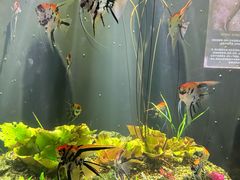 -成都浩海立方海洋公园