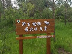 -北极村旅游风景区