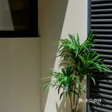 重庆最熟悉的味道“浮云卷”