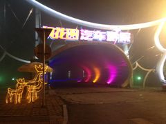-枫花园汽车电影院(朝阳公园店)