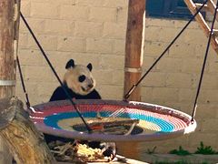 -石家庄市动物园