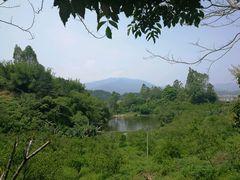 -天强农家菜馆
