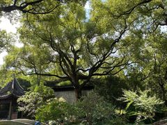 -惠山古镇·寄畅园