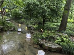 -中国茶叶博物馆(双峰馆区)