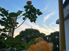 -漫渡庄绿岛花园•隐世庭园菜(滨湖店)