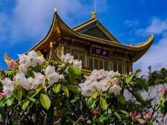 -峨眉山风景名胜区