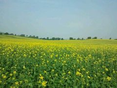 -御道口草原森林风景区-游客咨询处