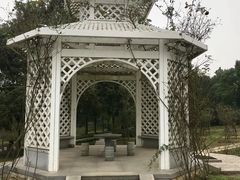 -东湖落雁景区
