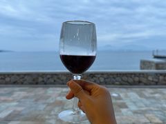 -采粤轩中餐厅(惠州金海湾喜来登度假酒店)