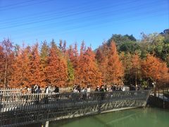 -梅峰山地公园