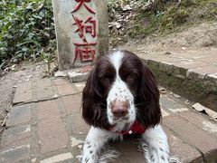 -老号尤兔头(幸福店)