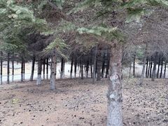 -长春世界雕塑园冰雪艺术天地