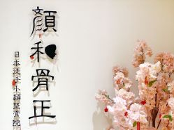 -颜和骨正·明哲式骨相美学整骨